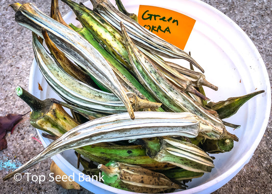 40+ Clemson Okra Seeds, Spineless + free GIFT | Fast Growing, Non-GMO, Organic| Top Seed Bank