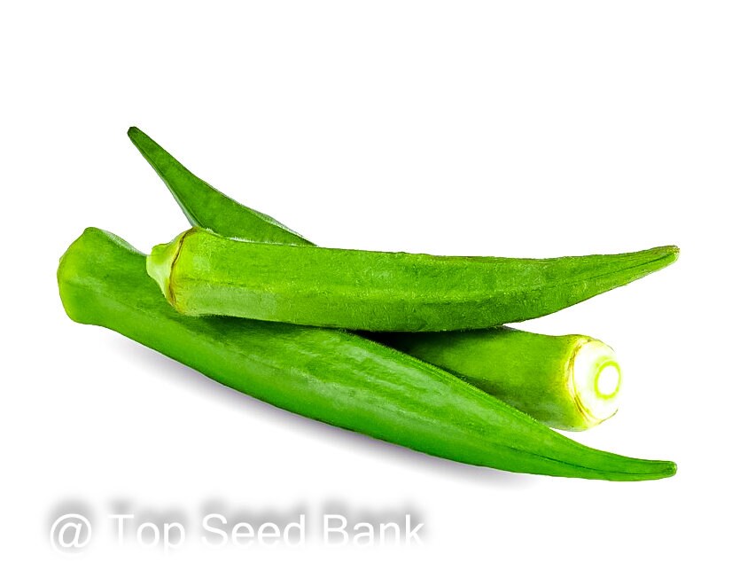 10+ Baby Bubba Okra seeds, dwarf, container friendly + Free GIFT | Organic| Top Seed Bank